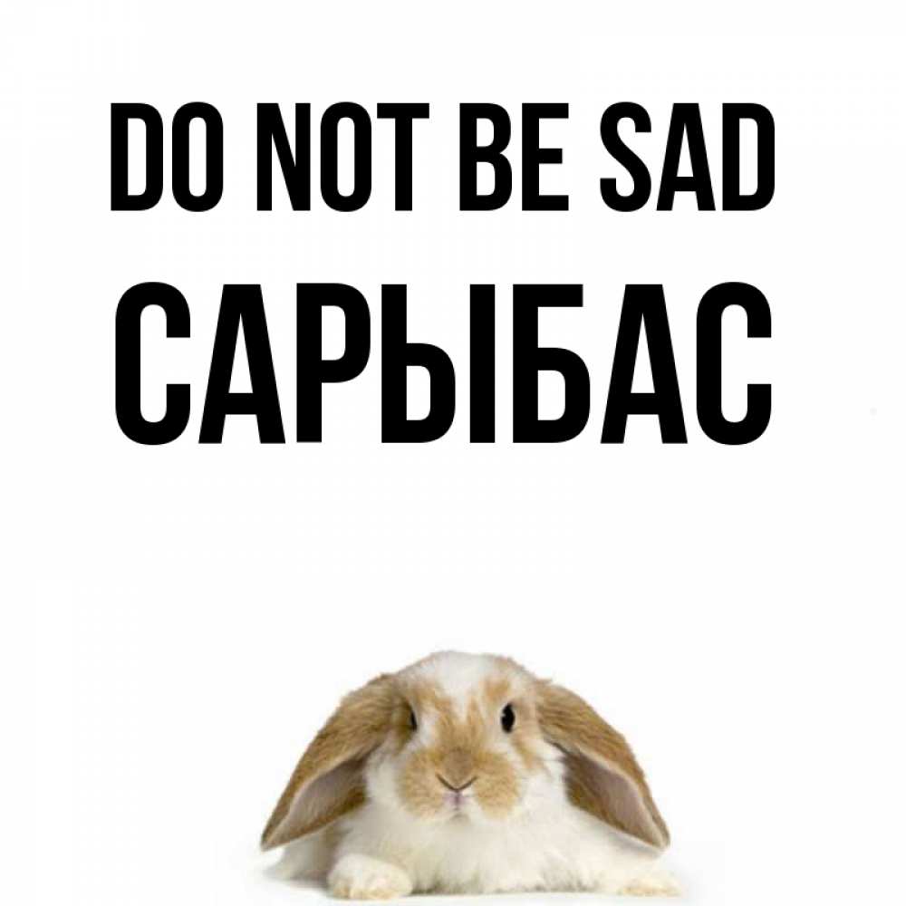 Greetings card с именем, САРЫБАС Do not be sad коричнево белый заяц с большими ушками Greetings with text for free download 