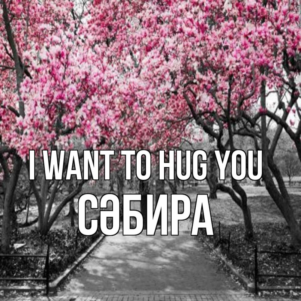 Greetings card с именем, СӘБИРА I want to hug you обработанное фото Greetings with text for free download 