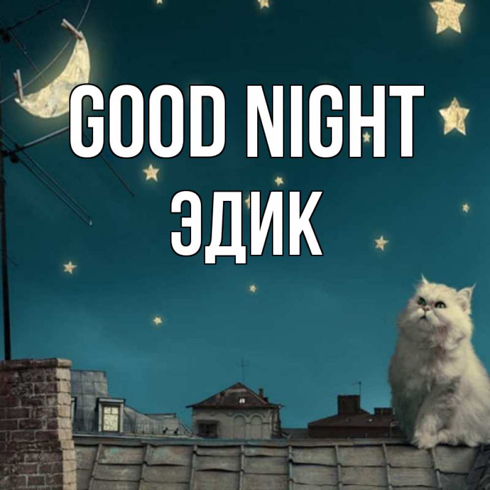 Greetings card с именем, Эдик Good night белый кот сидит на крыше Greetings with text for free download 