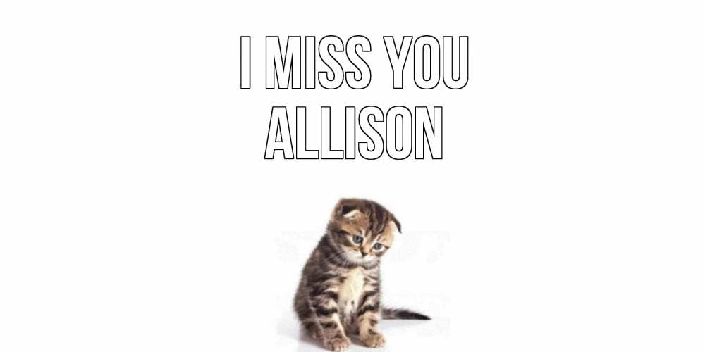 Greetings card с именем, Allison I miss you кот Greetings with text for free download 