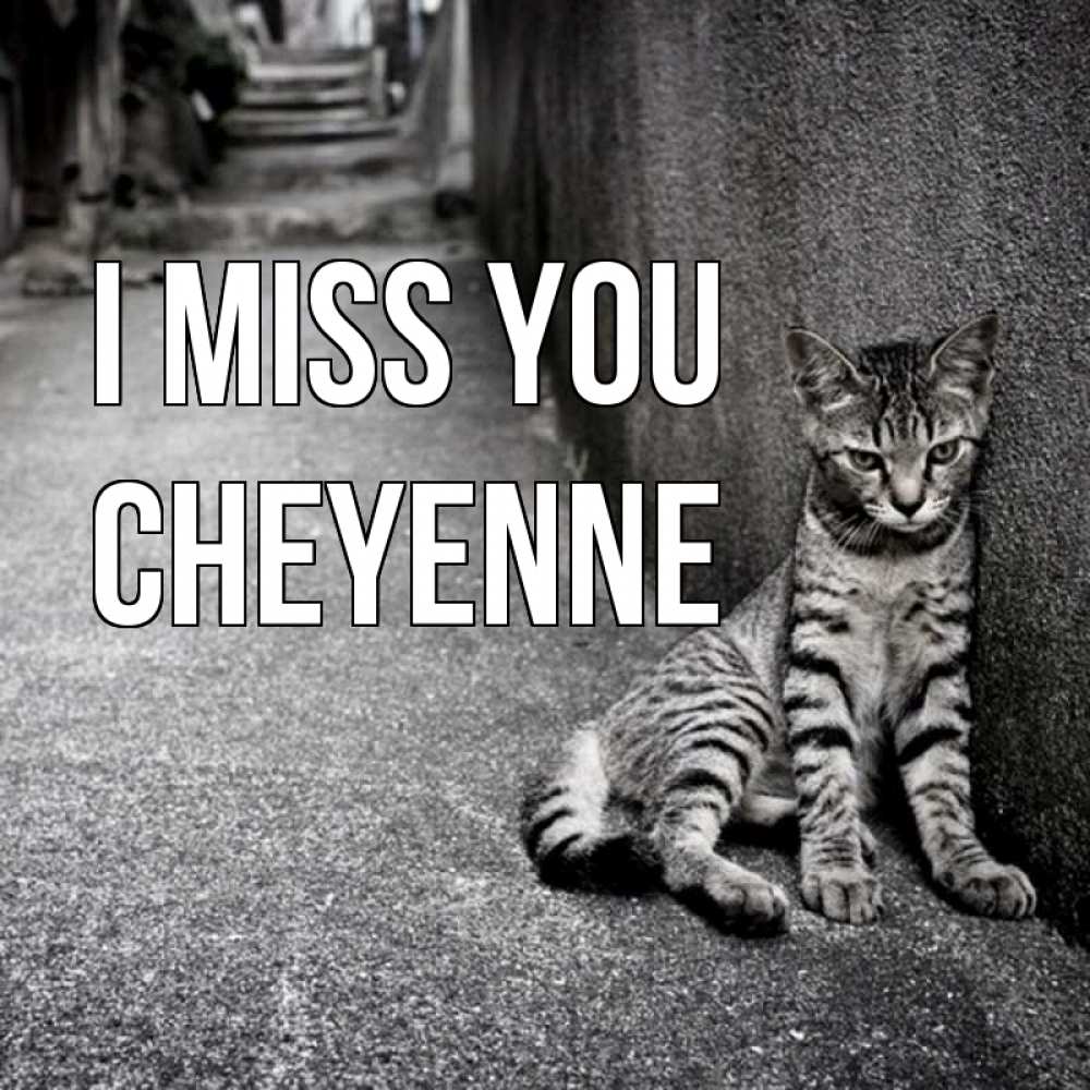Greetings card с именем, Cheyenne I miss you одиноко котику Greetings with text for free download 