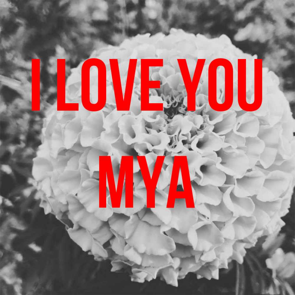 Greetings card с именем, Mya I love you подпись Greetings with text for free download 