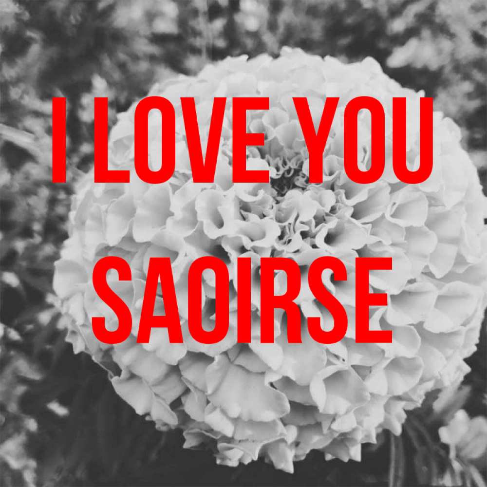 Greetings card с именем, Saoirse I love you подпись Greetings with text for free download 
