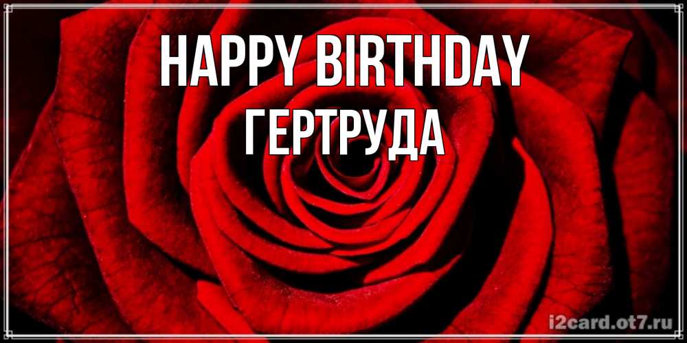 Greetings card с именем, Гертруда Happy Birthday алая роза Greetings with text for free download 