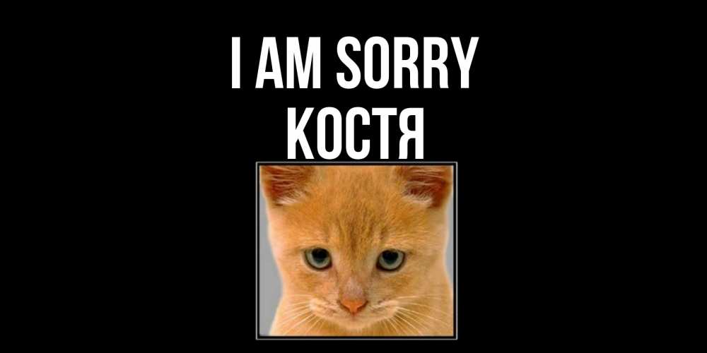 Greetings card с именем, Костя I am sorry рыжий грустный кот просит прощения Greetings with text for free download 
