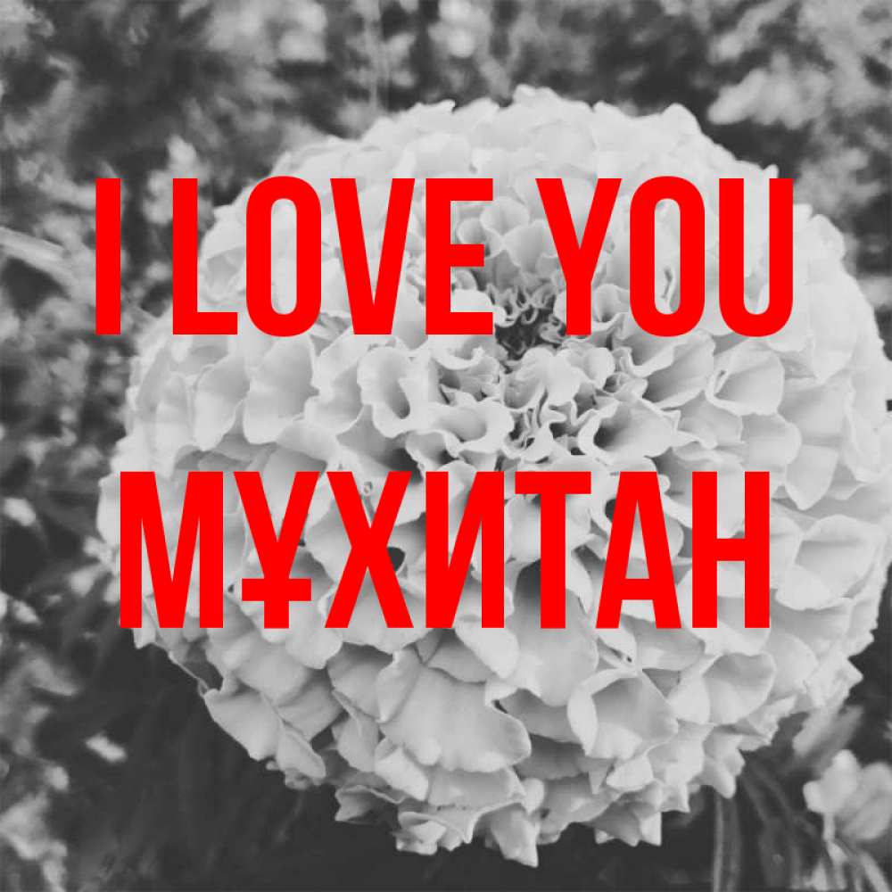 Greetings card с именем, МҰХИТАН I love you подпись Greetings with text for free download 