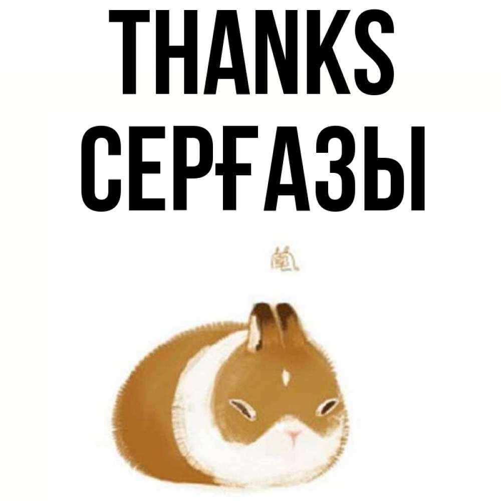 Greetings card с именем, СЕРҒАЗЫ Thanks коричнево белый домашний питомец Greetings with text for free download 