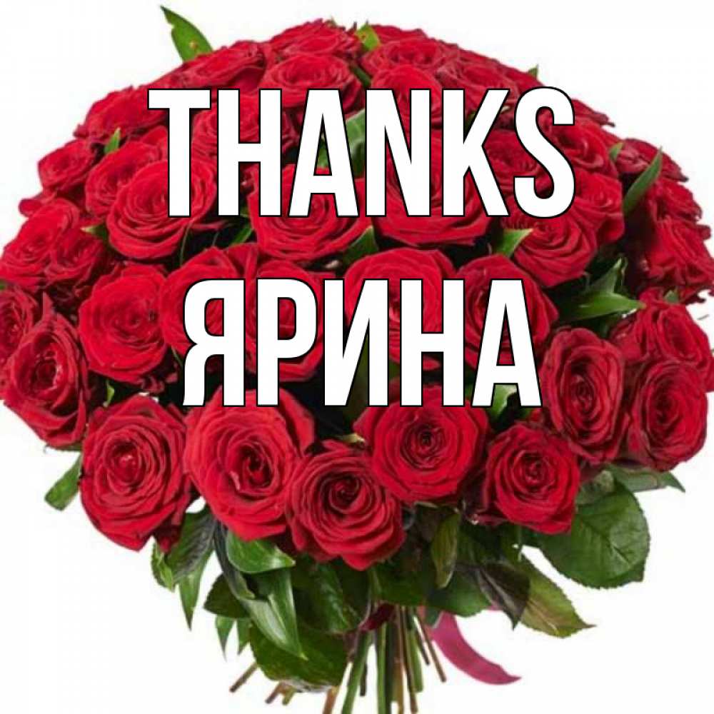 Greetings card с именем, Ярина Thanks букет красных роз Greetings with text for free download 