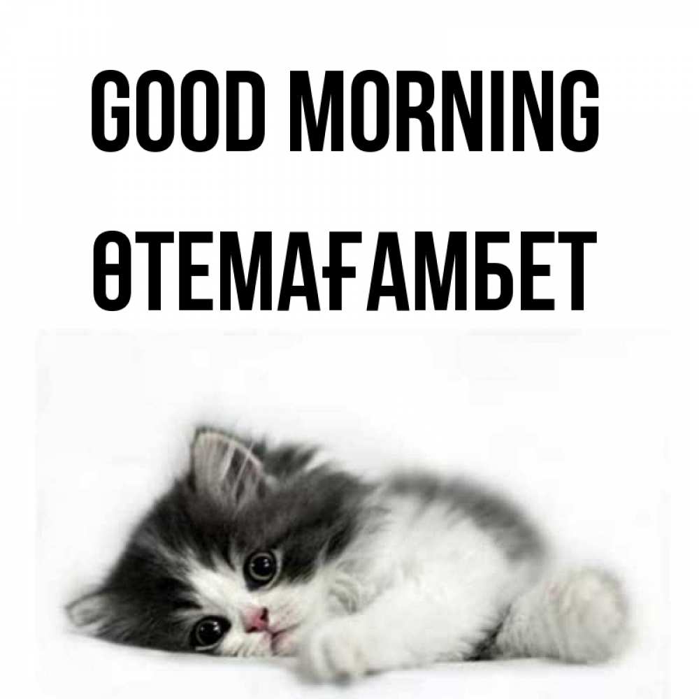 Greetings card с именем, ӨТЕМАҒАМБЕТ Good morning кот лапки Greetings with text for free download 