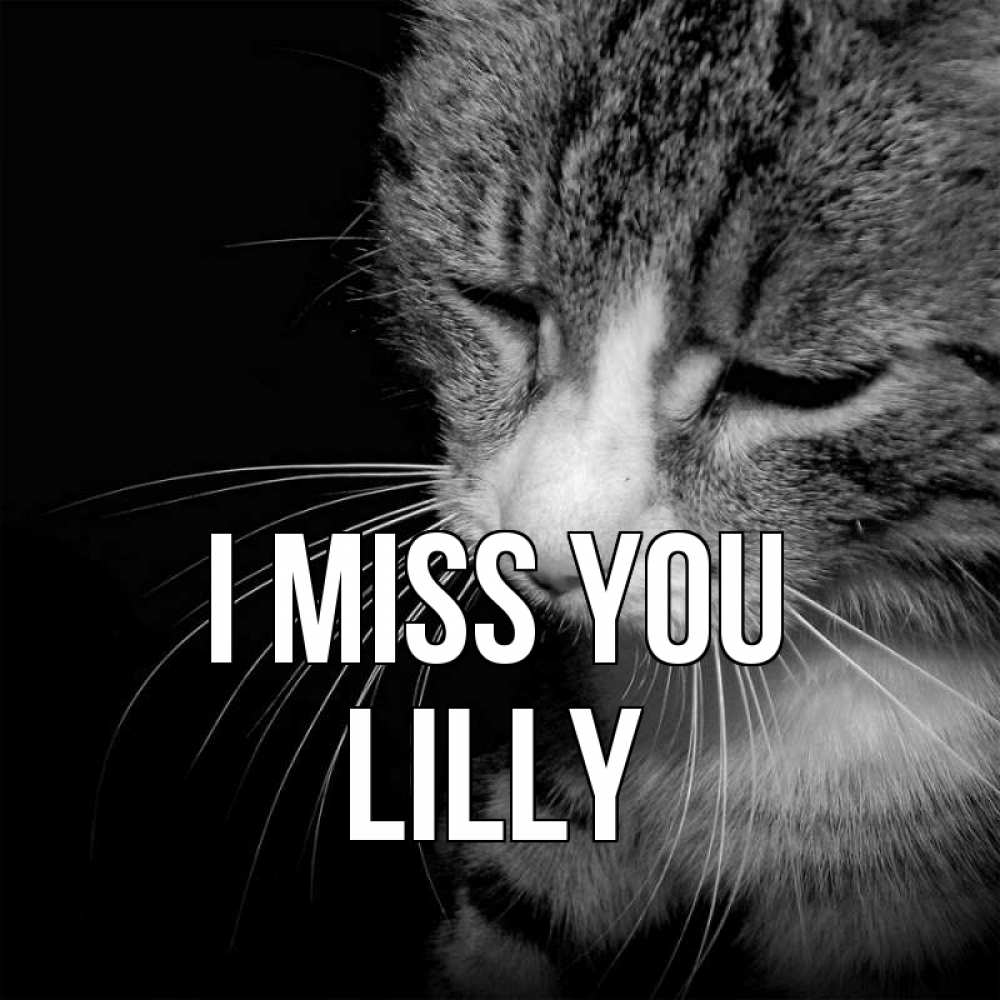 Greetings card с именем, Lilly I miss you мне скучно Greetings with text for free download 