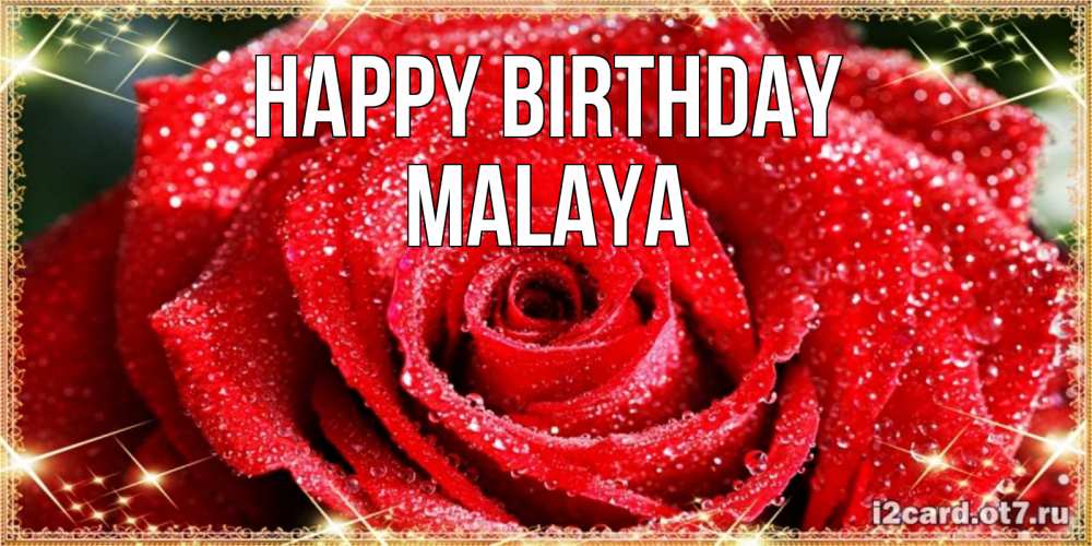 Greetings card с именем, Malaya Happy Birthday роса и роза. открытка с красивой розой Greetings with text for free download 