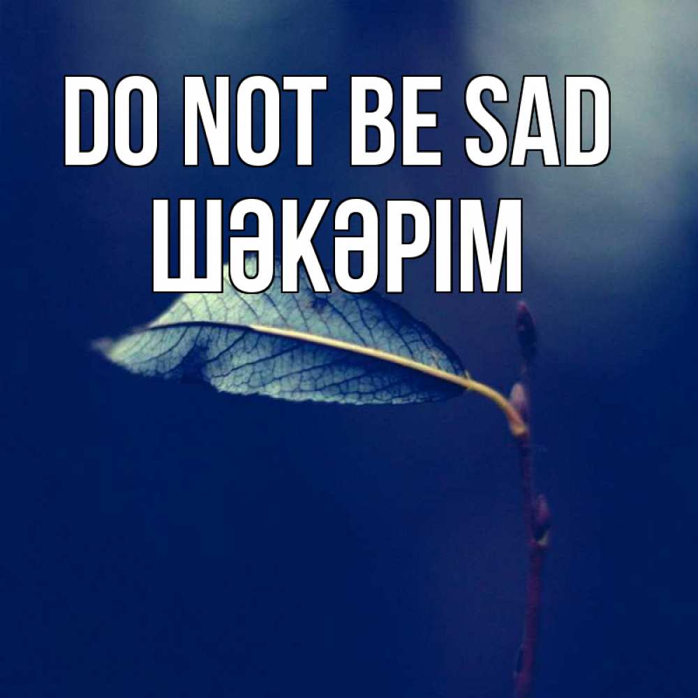 Greetings card с именем, ШӘКӘРІМ Do not be sad растение Greetings with text for free download 