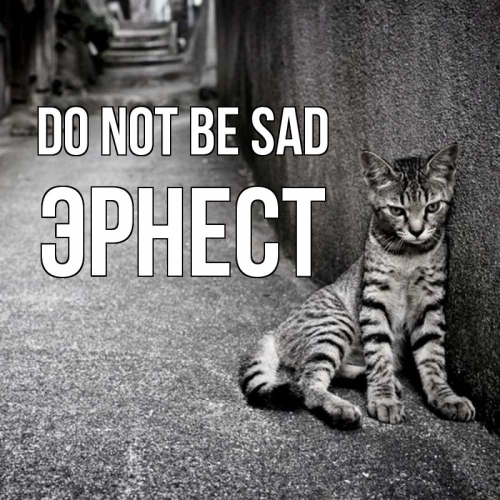 Greetings card с именем, Эрнест Do not be sad скучающий котик Greetings with text for free download 