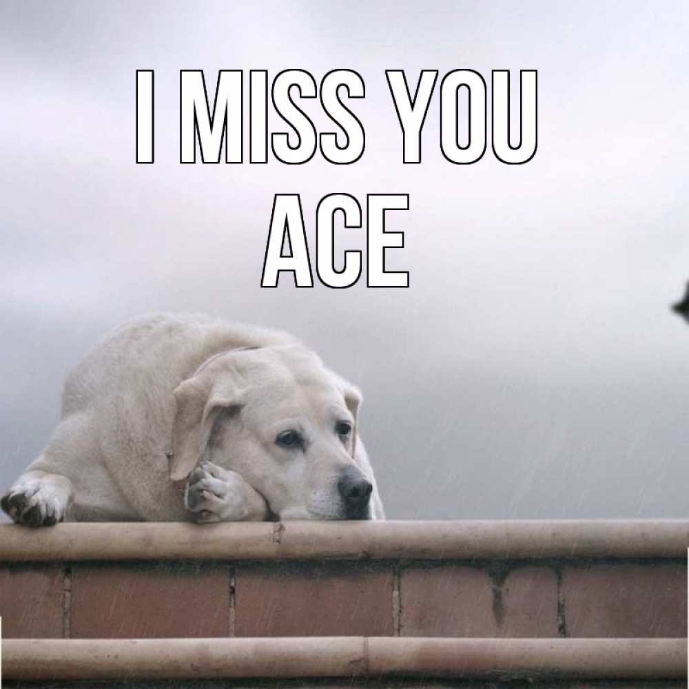 Greetings card с именем, Ace I miss you ждет Greetings with text for free download 