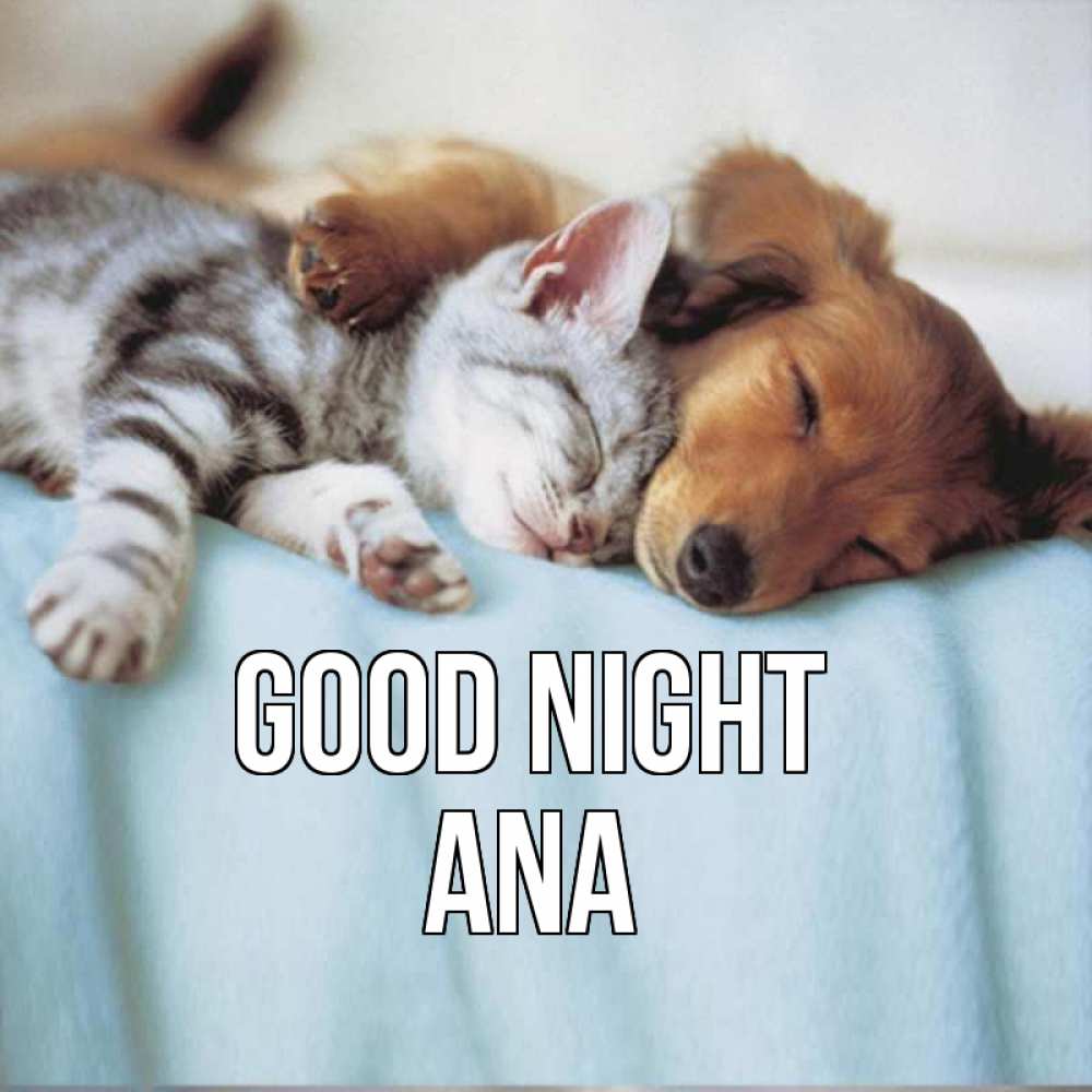 Greetings card с именем, Ana Good night с животными Greetings with text for free download 