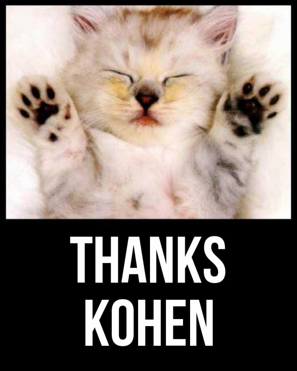 Greetings card с именем, Kohen Thanks маленький котенок Greetings with text for free download 