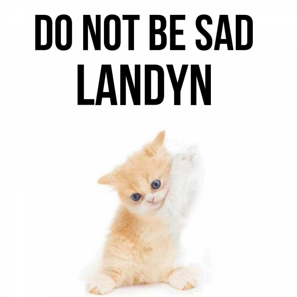 Greetings card с именем, Landyn Do not be sad просящий кот Greetings with text for free download 