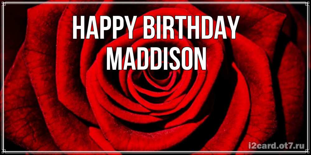 Greetings card с именем, Maddison Happy Birthday алая роза Greetings with text for free download 