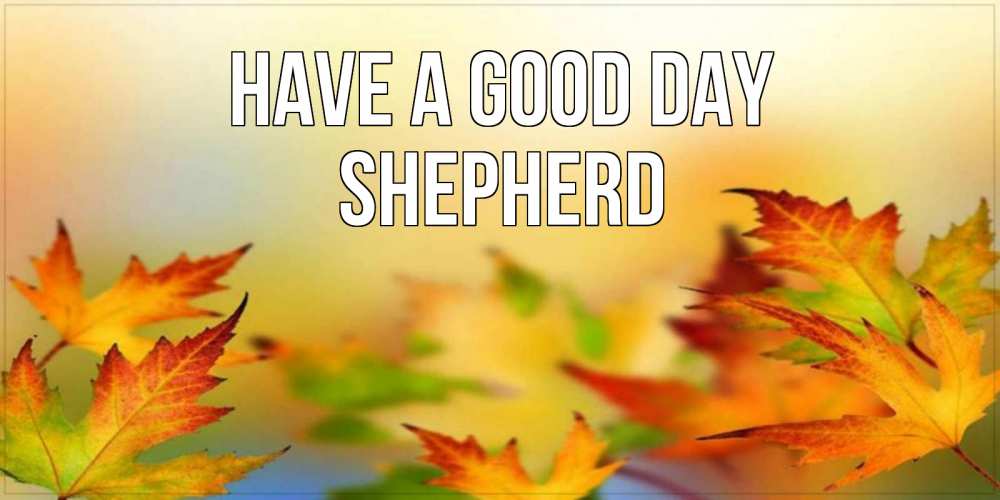 Greetings card с именем, Shepherd Have a good day открытка с пожеланием хорошего осеннего дня Greetings with text for free download 