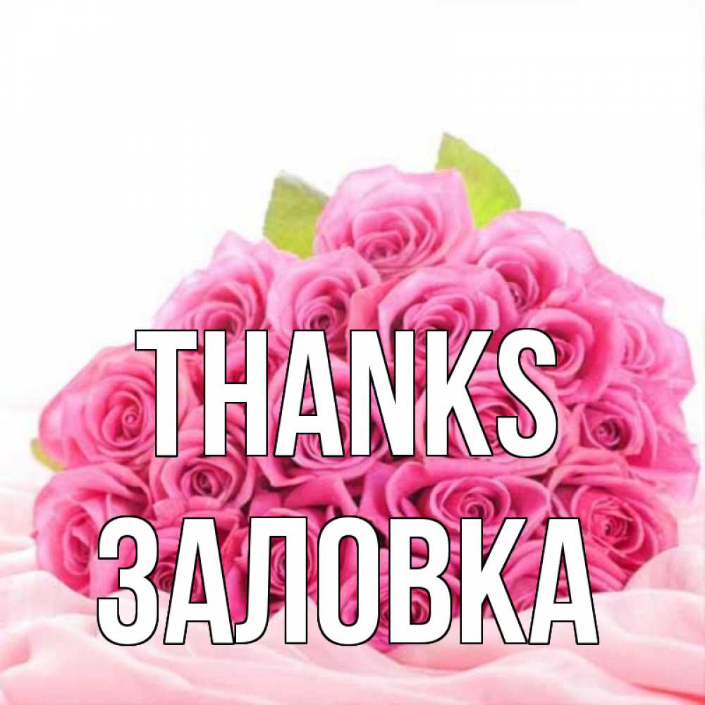 Greetings card с именем, Заловка Thanks розовые розы с подписью Greetings with text for free download 