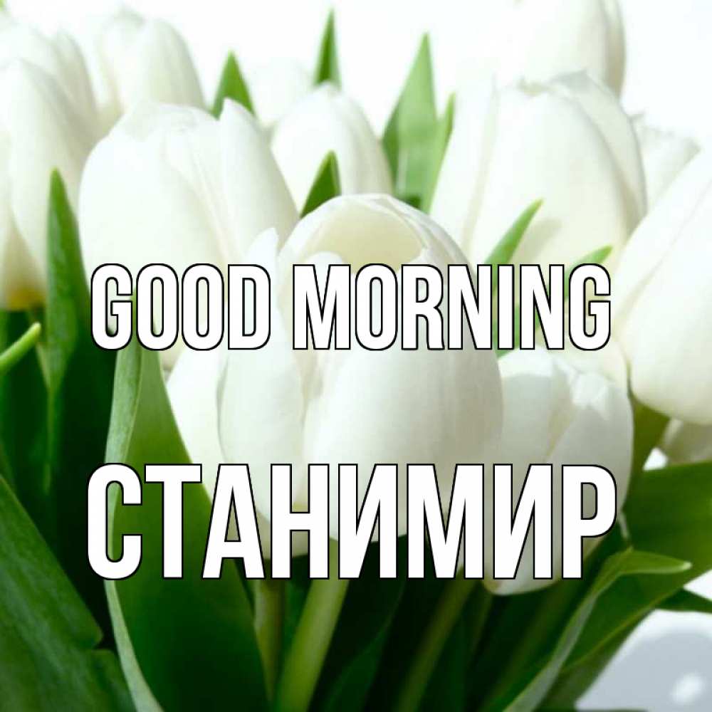 Greetings card с именем, Станимир Good morning открытки на каждый день по именам Greetings with text for free download 
