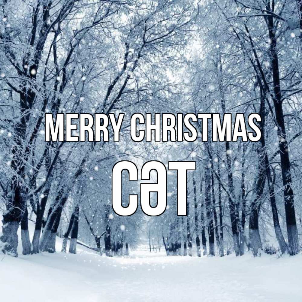 Greetings card с именем, СӘТ Merry Christmas снег, лес, парк Greetings with text for free download 
