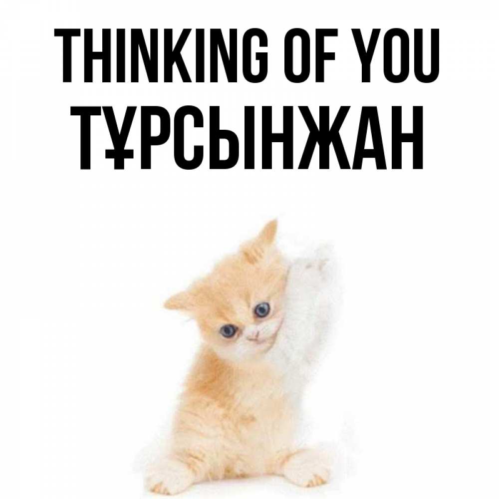Greetings card с именем, ТҰРСЫНЖАН Thinking of you зверушки и милота Greetings with text for free download 