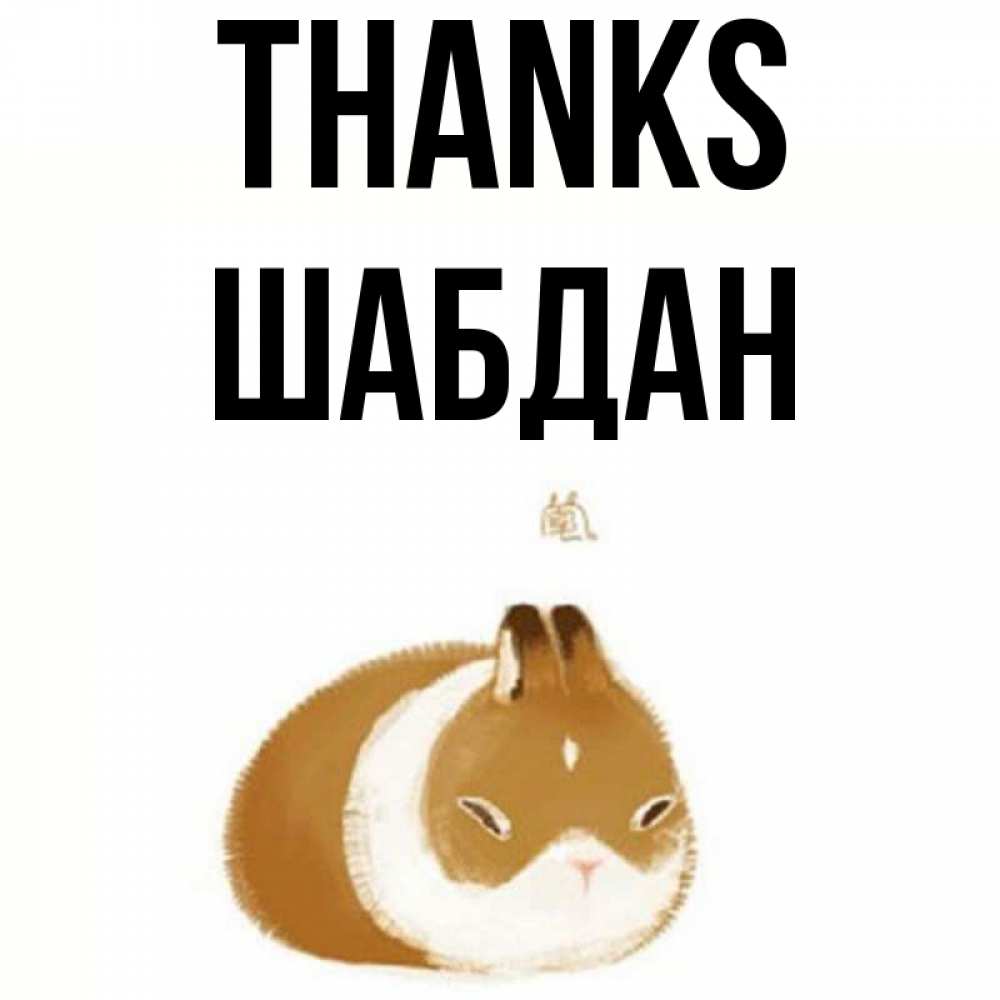 Greetings card с именем, ШАБДАН Thanks коричнево белый домашний питомец Greetings with text for free download 