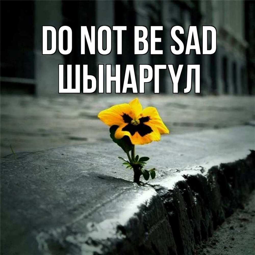 Greetings card с именем, ШЫНАРГҮЛ Do not be sad не сдавайся Greetings with text for free download 