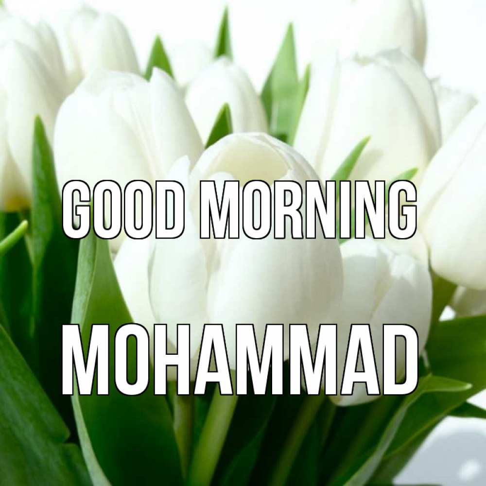 Greetings card с именем, Mohammad Good morning открытки на каждый день по именам Greetings with text for free download 