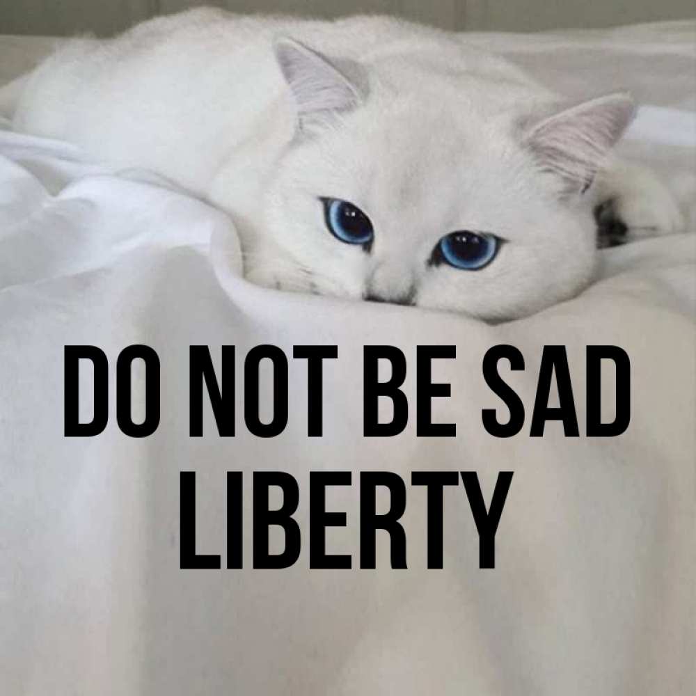 Greetings card с именем, Liberty Do not be sad Голубоглазая кошка Greetings with text for free download 