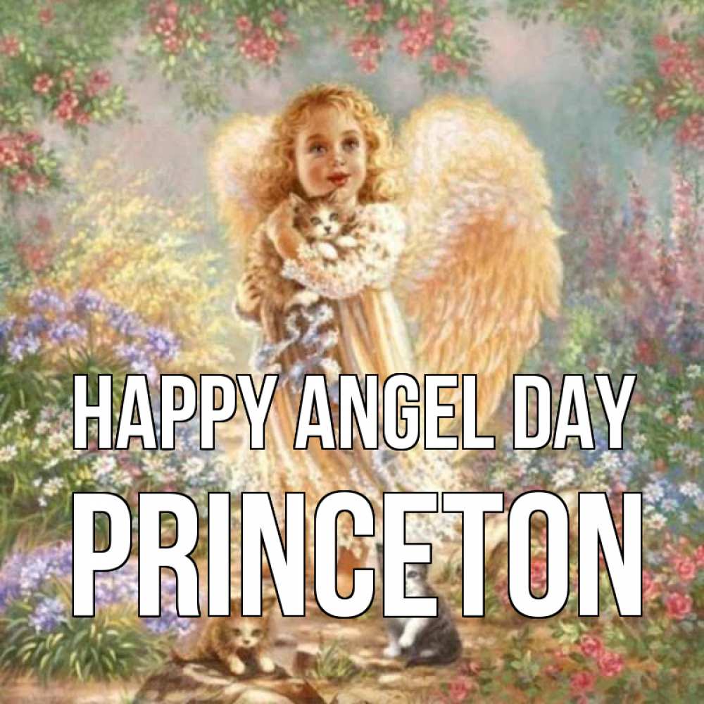 Greetings card с именем, Princeton happy angel day держит котенка Greetings with text for free download 