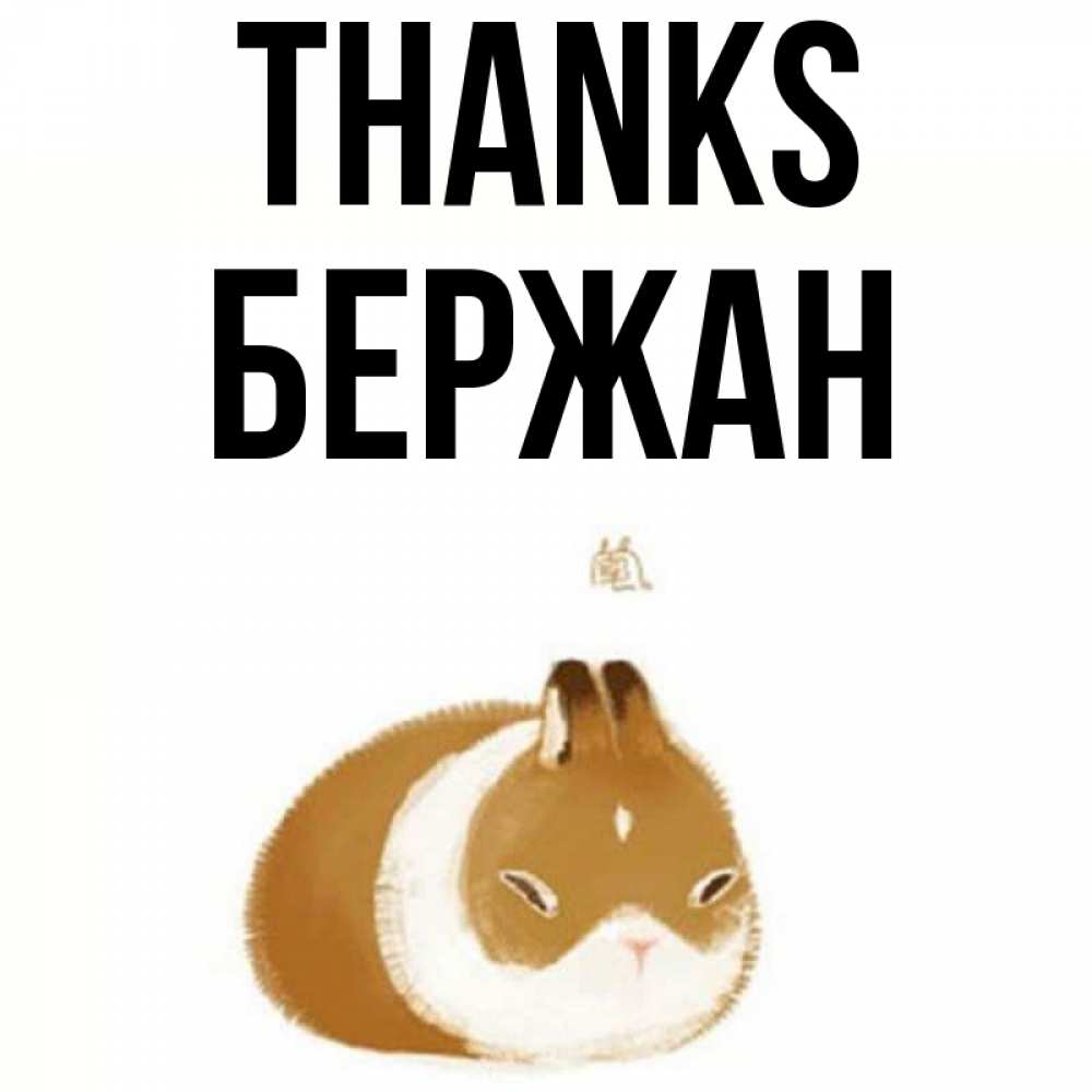 Greetings card с именем, Бержан Thanks коричнево белый домашний питомец Greetings with text for free download 