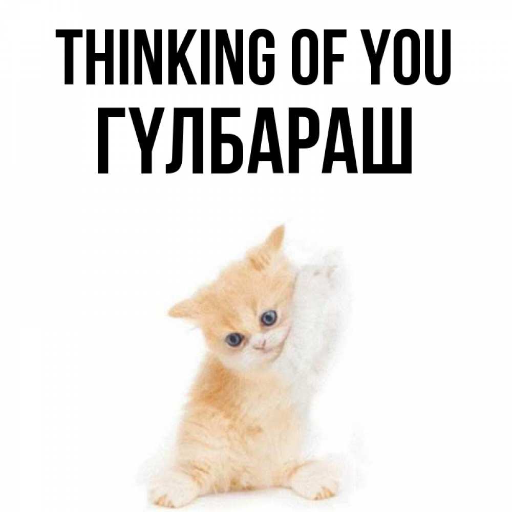 Greetings card с именем, ГҮЛБАРАШ Thinking of you зверушки и милота Greetings with text for free download 