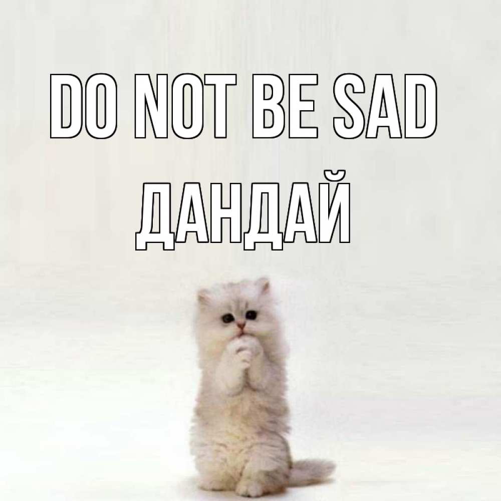 Greetings card с именем, Дандай Do not be sad грустный кот Greetings with text for free download 