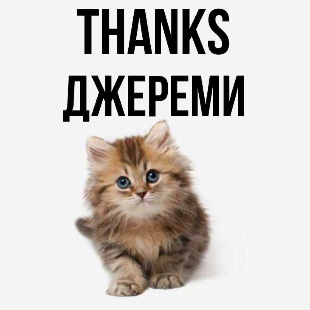 Greetings card с именем, Джереми Thanks пушистый котик Greetings with text for free download 
