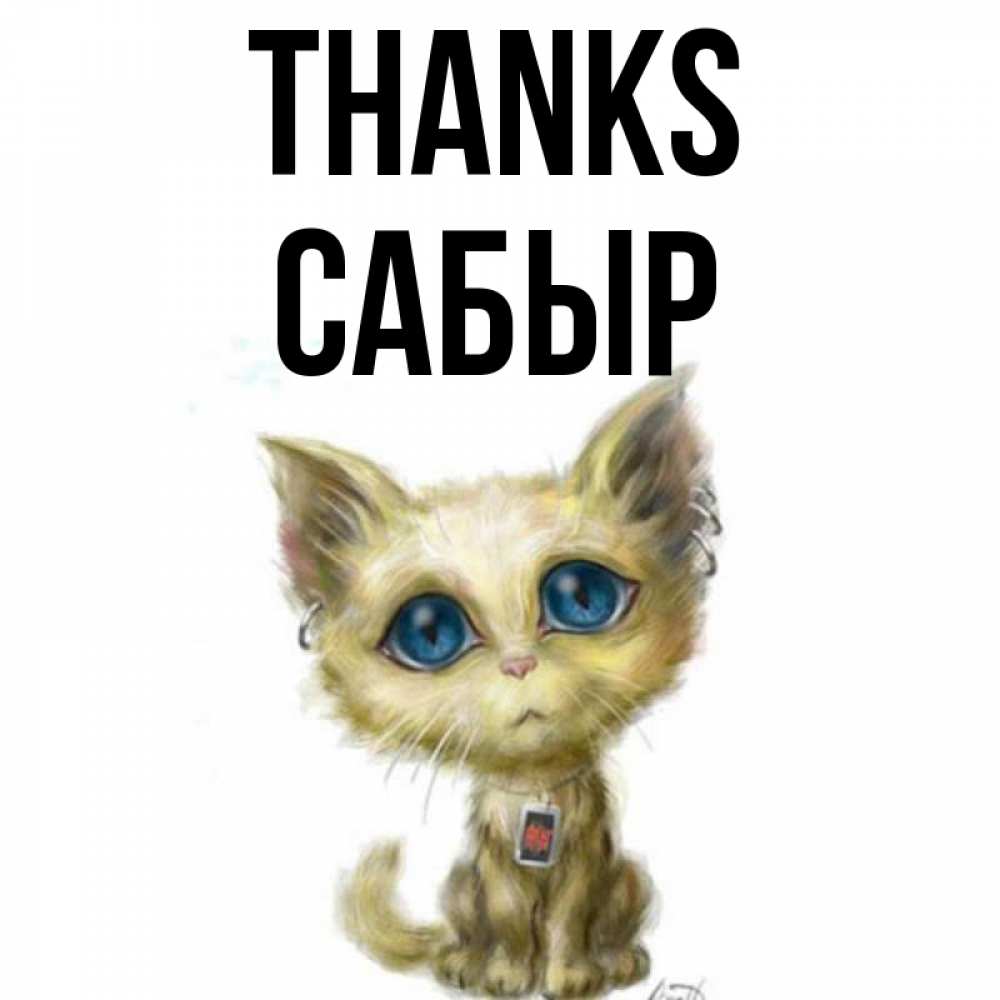 Greetings card с именем, САБЫР Thanks рисованный кот благодарит вас Greetings with text for free download 