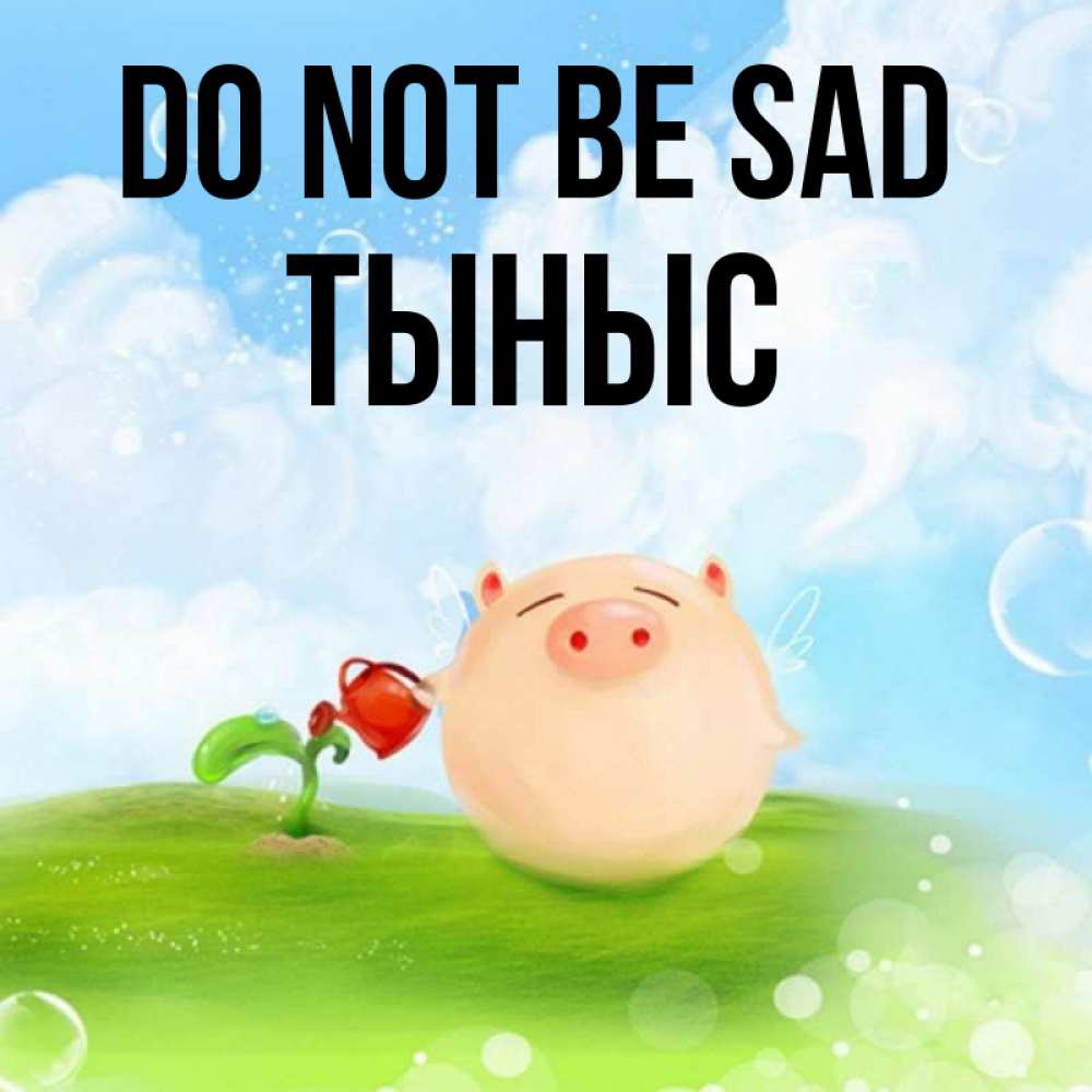 Greetings card с именем, ТЫНЫС Do not be sad поливает цветок порося Greetings with text for free download 