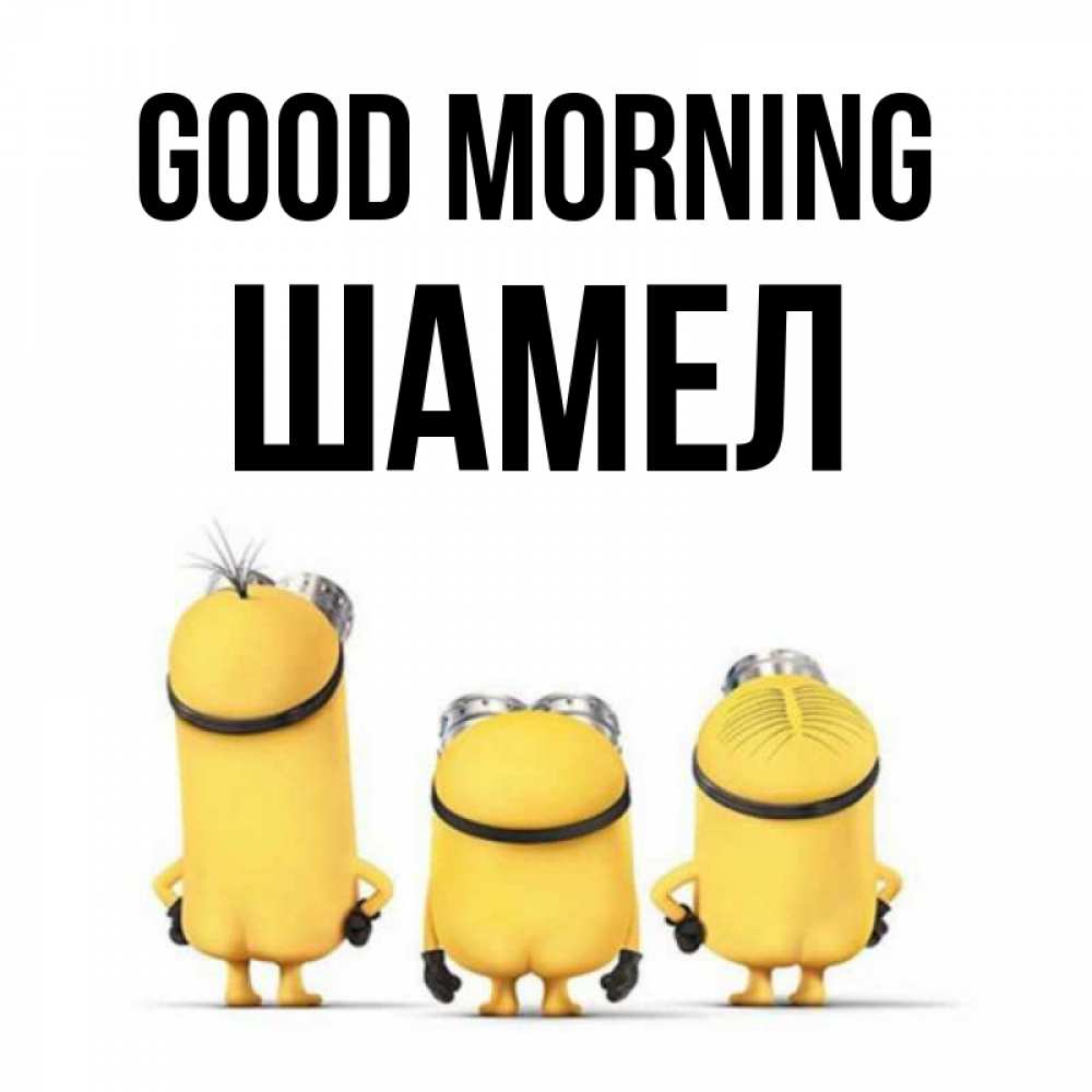Greetings card с именем, ШАМЕЛ Good morning подписать открытку онлайн бесплатно Greetings with text for free download 