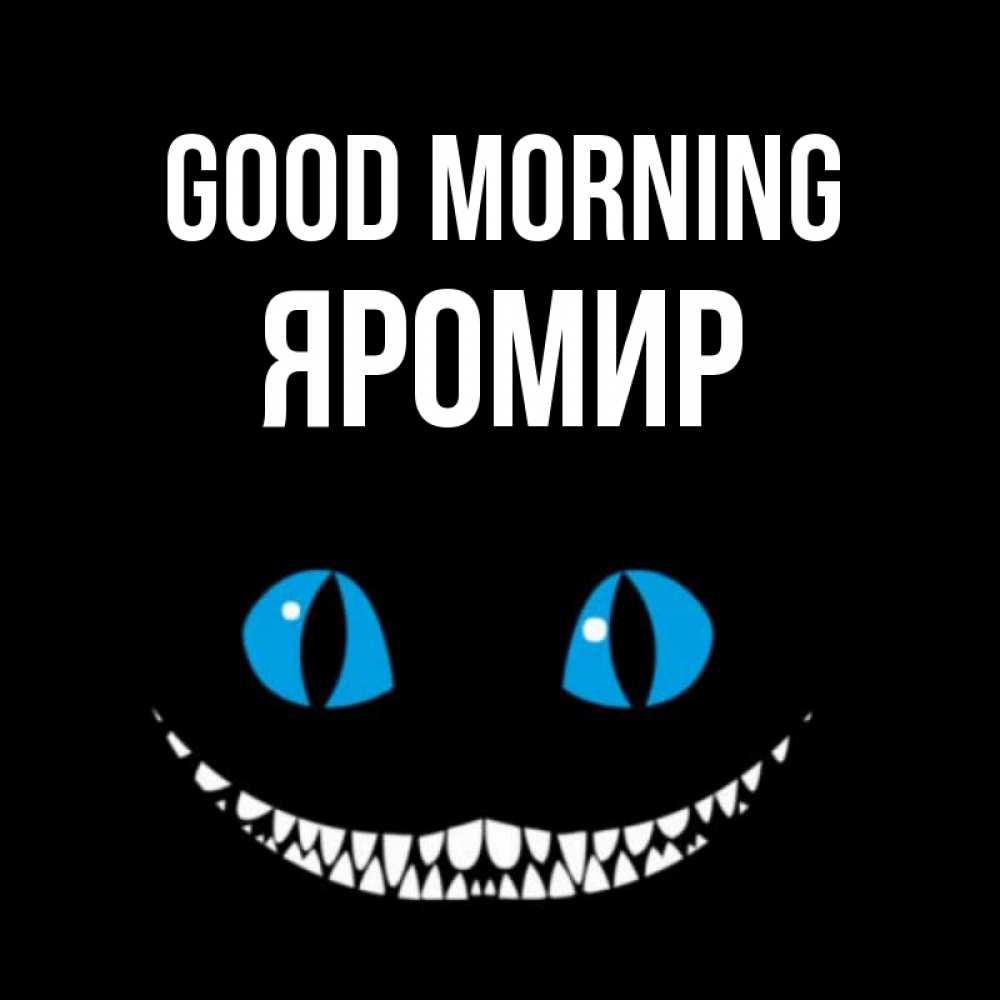 Greetings card с именем, Яромир Good morning голубые глаза и зубки Greetings with text for free download 