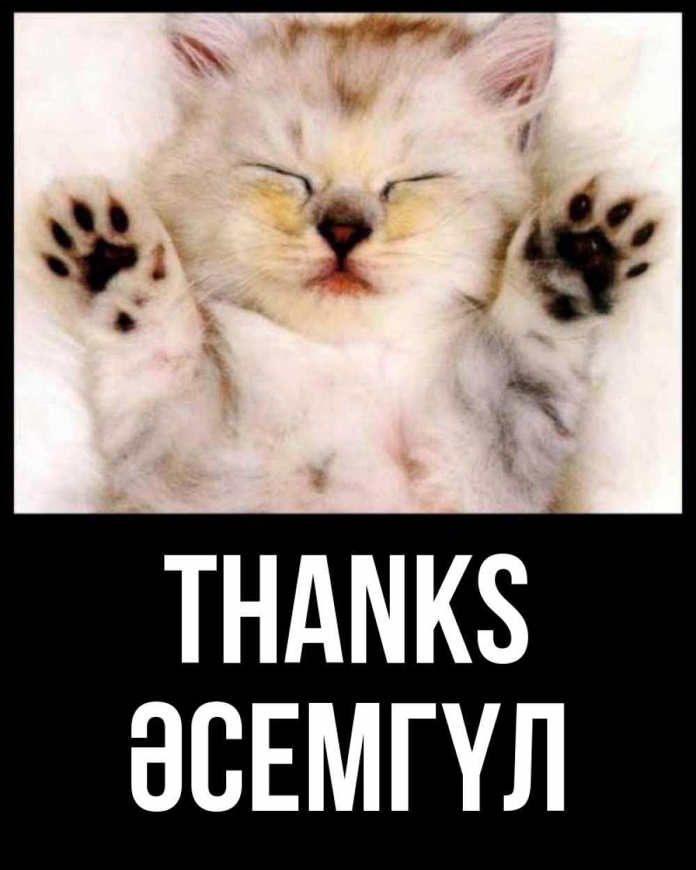 Greetings card с именем, ӘСЕМГҮЛ Thanks маленький котенок Greetings with text for free download 