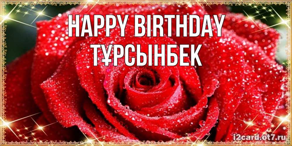 Greetings card с именем, ТҰРСЫНБЕК Happy Birthday роса и роза. открытка с красивой розой Greetings with text for free download 