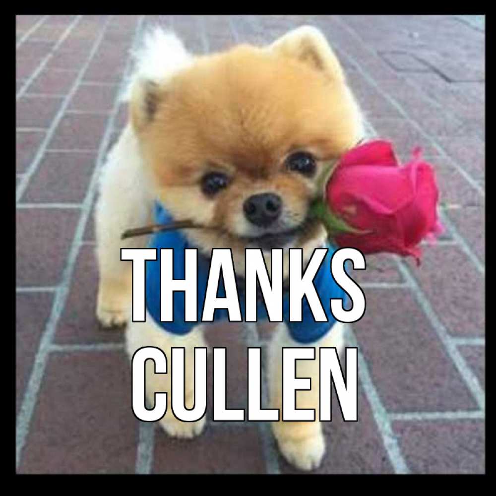Greetings card с именем, Cullen Thanks спасибо и дарю тебе цветок Greetings with text for free download 