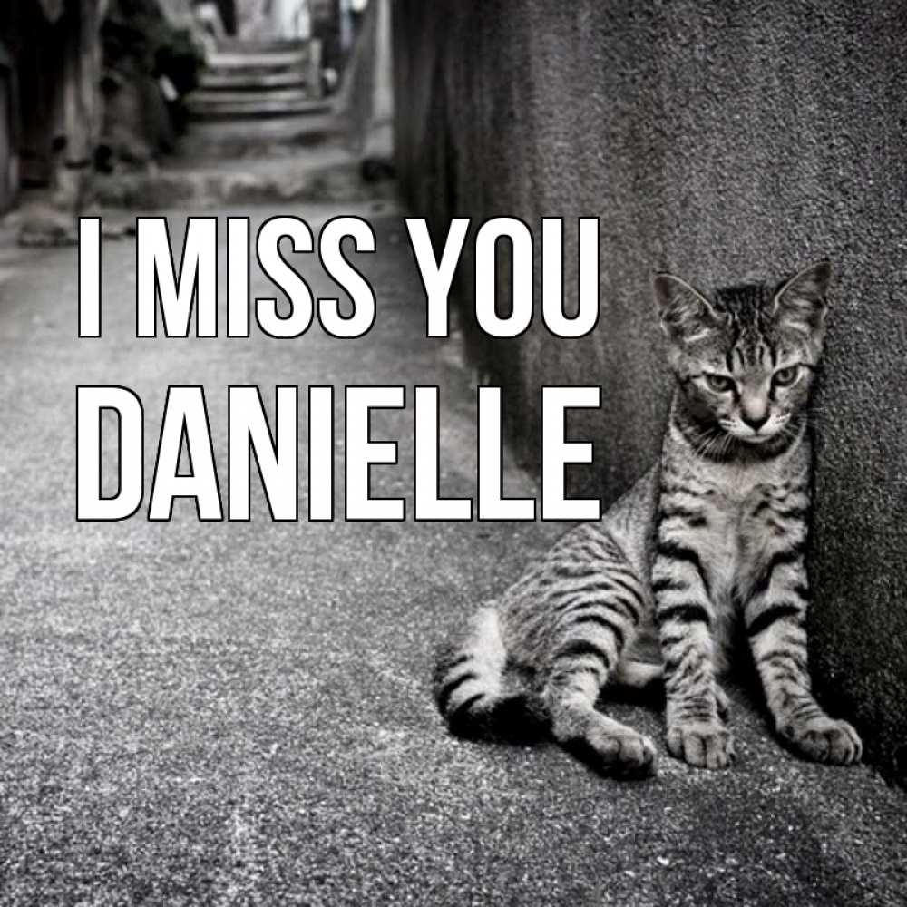 Greetings card с именем, Danielle I miss you одиноко котику Greetings with text for free download 