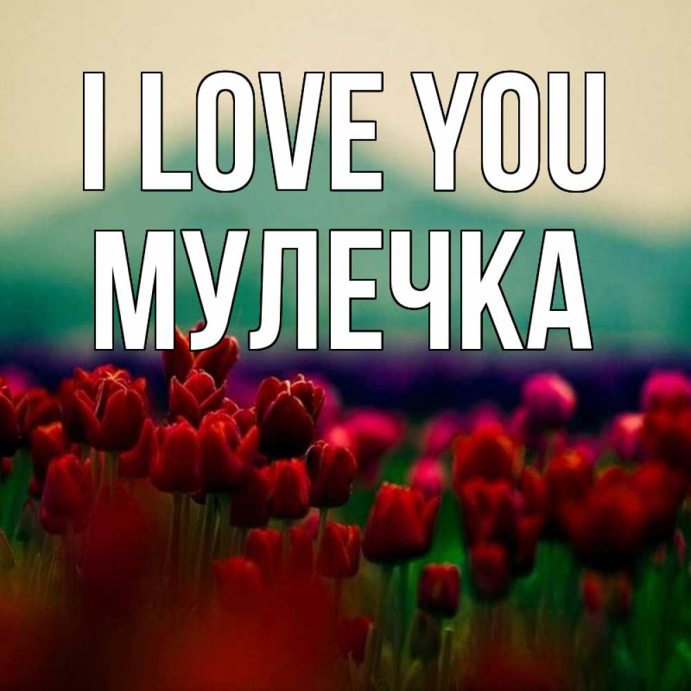 Greetings card с именем, Мулечка I love you тюльпаны 4 Greetings with text for free download 