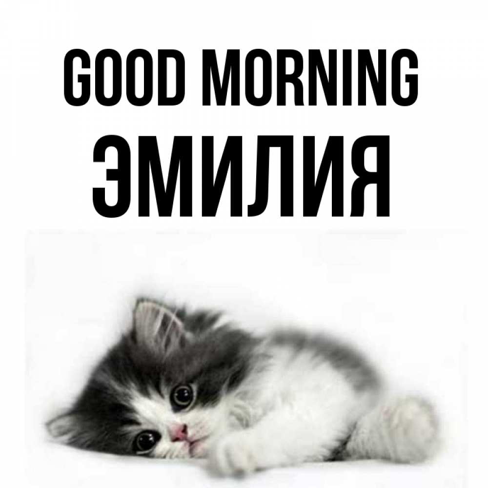 Greetings card с именем, Эмилия Good morning кот лапки Greetings with text for free download 