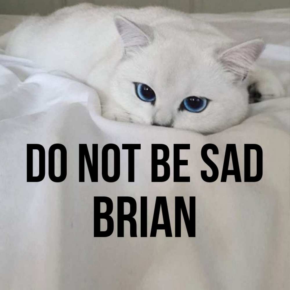 Greetings card с именем, Brian Do not be sad Голубоглазая кошка Greetings with text for free download 