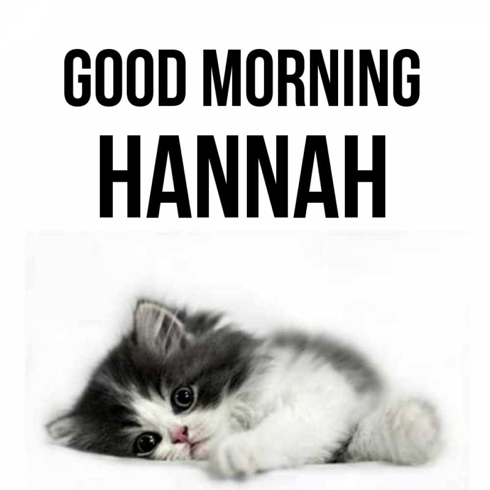 Greetings card с именем, Hannah Good morning кот лапки Greetings with text for free download 