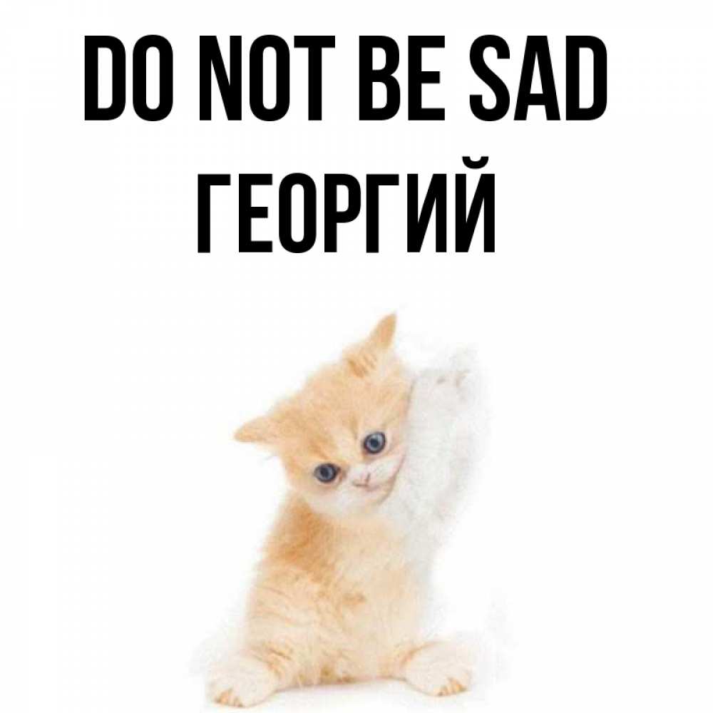 Greetings card с именем, Георгий Do not be sad просящий кот Greetings with text for free download 