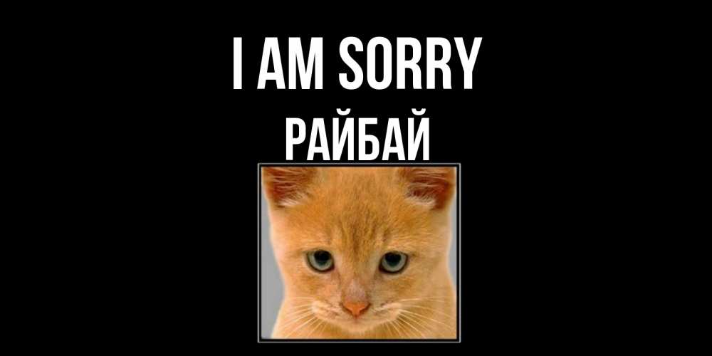 Greetings card с именем, РАЙБАЙ I am sorry рыжий грустный кот просит прощения Greetings with text for free download 